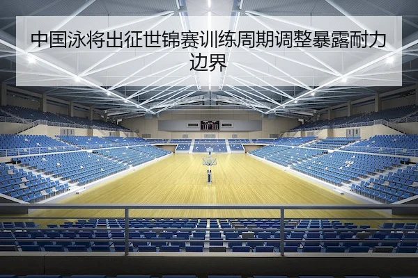 中国泳将出征世锦赛训练周期调整暴露耐力边界 | AYX